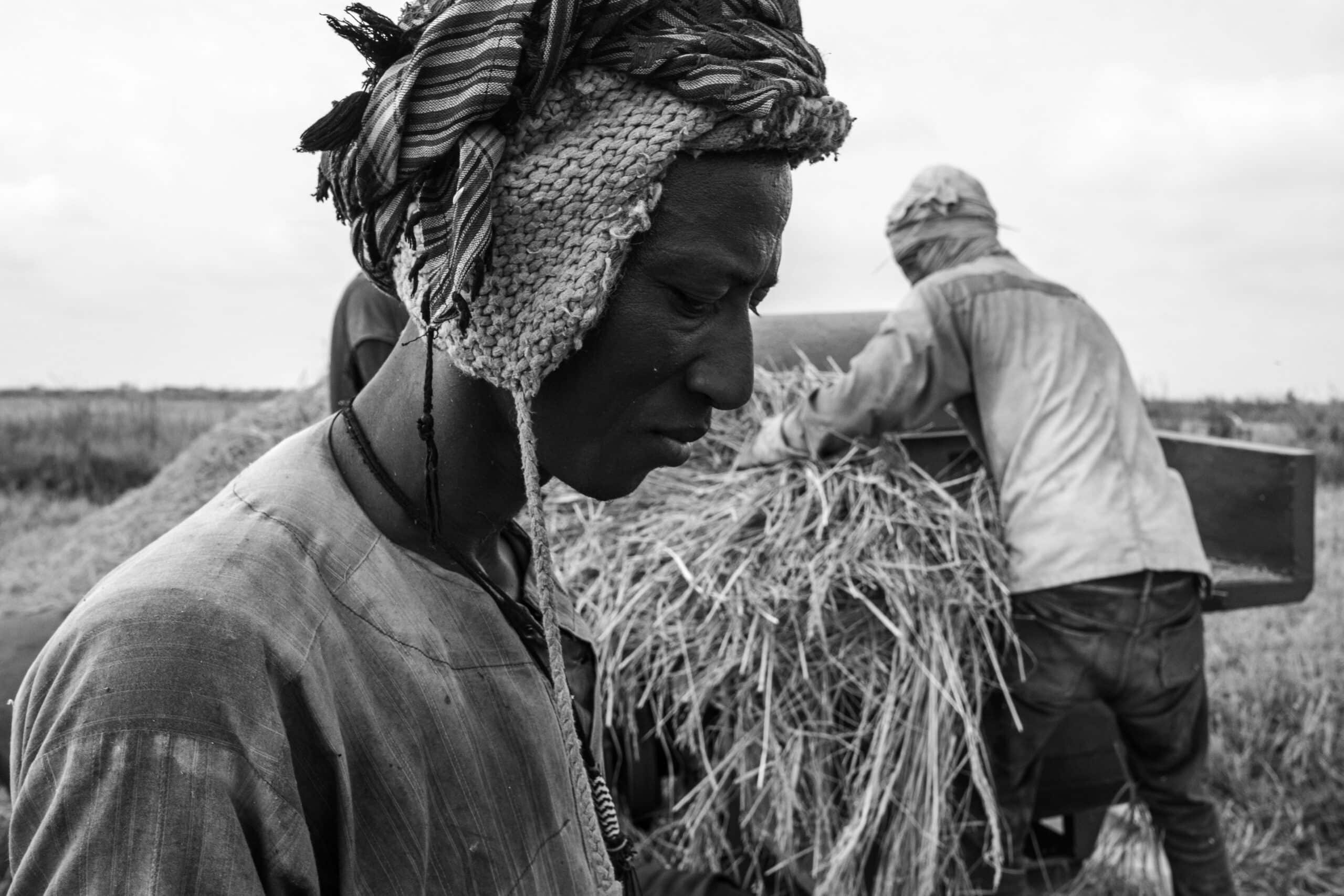 A black and white close up of a man in front of a vehicle being loaded with cereal grasses.