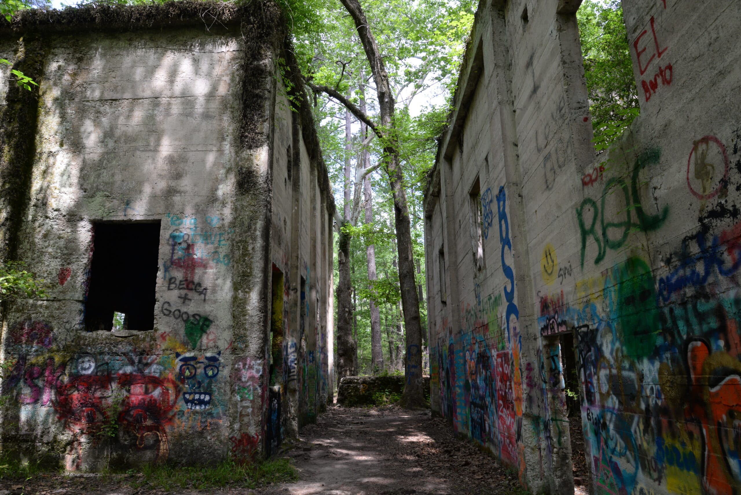 A photo of the sawmill. It is split into two buildings-- one on the left of the image, one on the right. Both buildings are covered in colorful graffiti. Between them, trees can be seen.