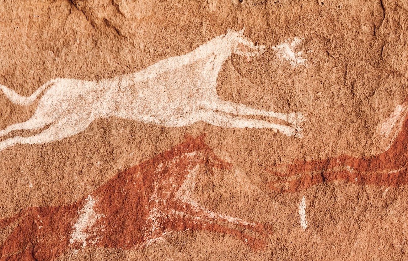 Orange sandstone with a white and red petroglyphs of ungulates galloping left to right.