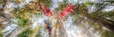 A look up into the canopy, where the Dream Puppet looms, with horns and pink and bamboo structure. Sunlight comes in from a wild forest of greens, a forest in Montana's Yaak Valley.