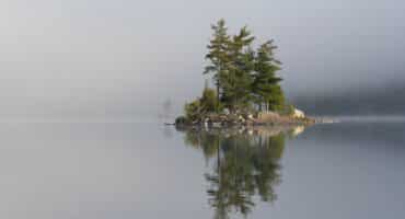 A small island with a few fir trees sits in a still lake.