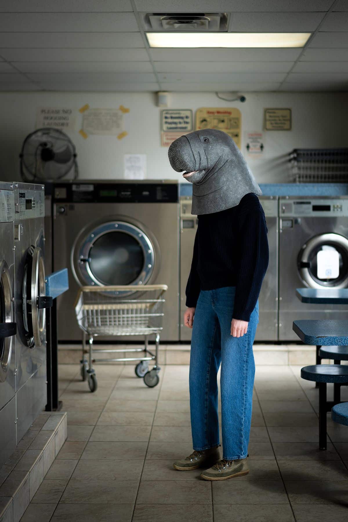 A person in a laundromat wearing a black sweater, blue jeans, and a manatee head head over their head