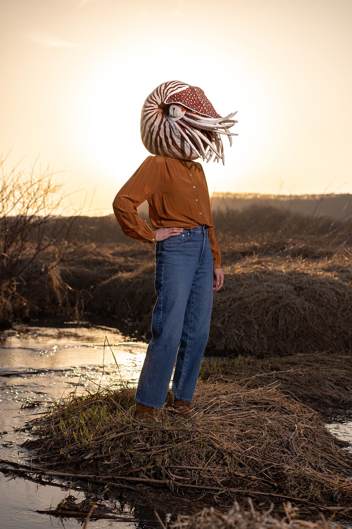 A person standing in a marsh at sunset while wearing a brown shirt, blue jeans, and a nautilus over their head