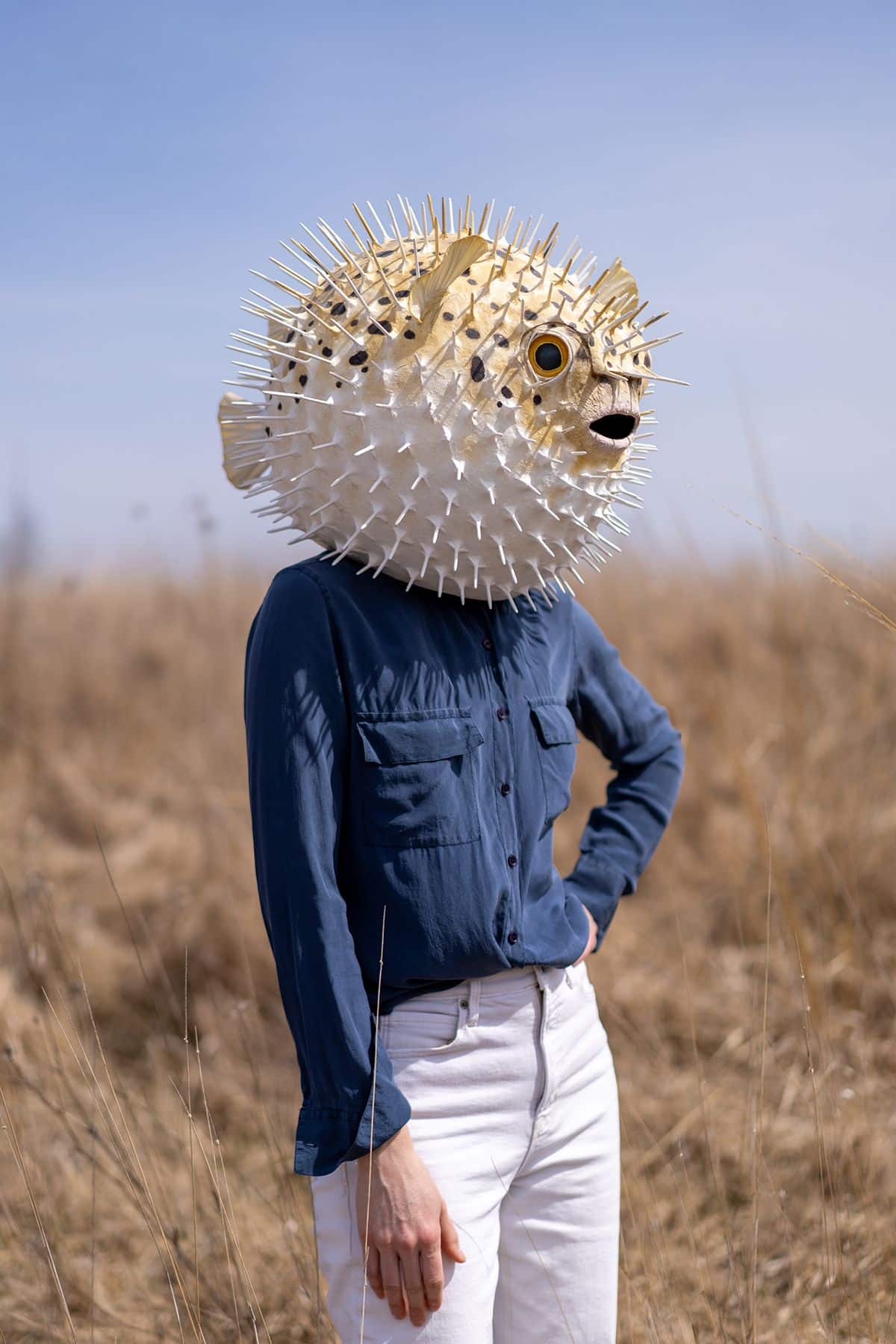 A person in a blue shirt and white pants standing in a meadow while wearing a porcupine fish over their head 