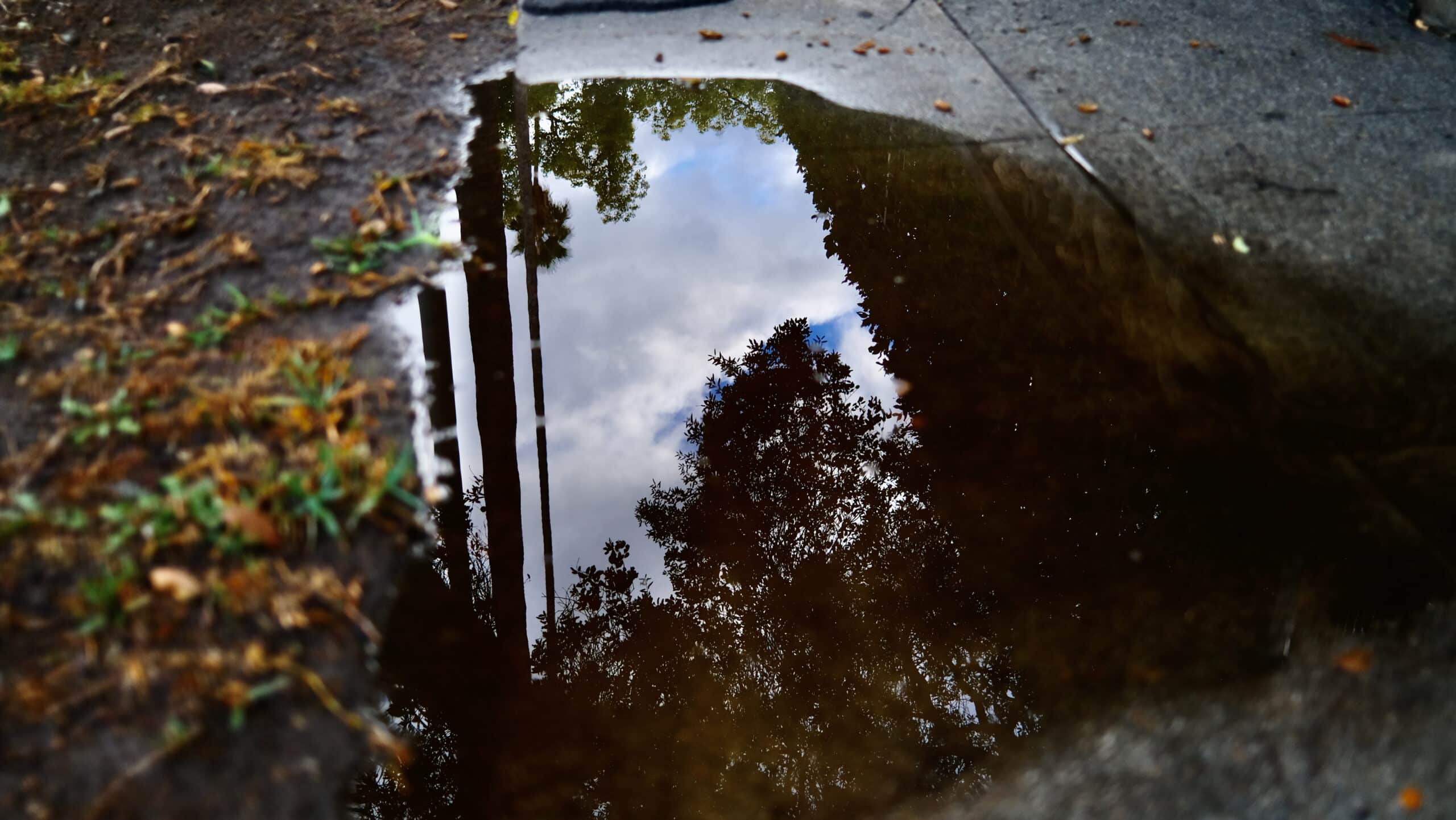A puddle on the pavement. Around the puddles are scattered leaves. In the puddle are reflection of tall trees and the sky.