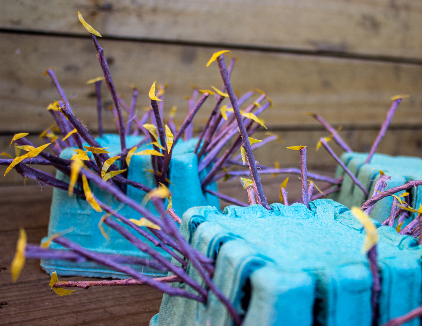 A close up image of purple sticks and yellow flowers sticking out from upside down blue boxes. There are wood slats in the background.