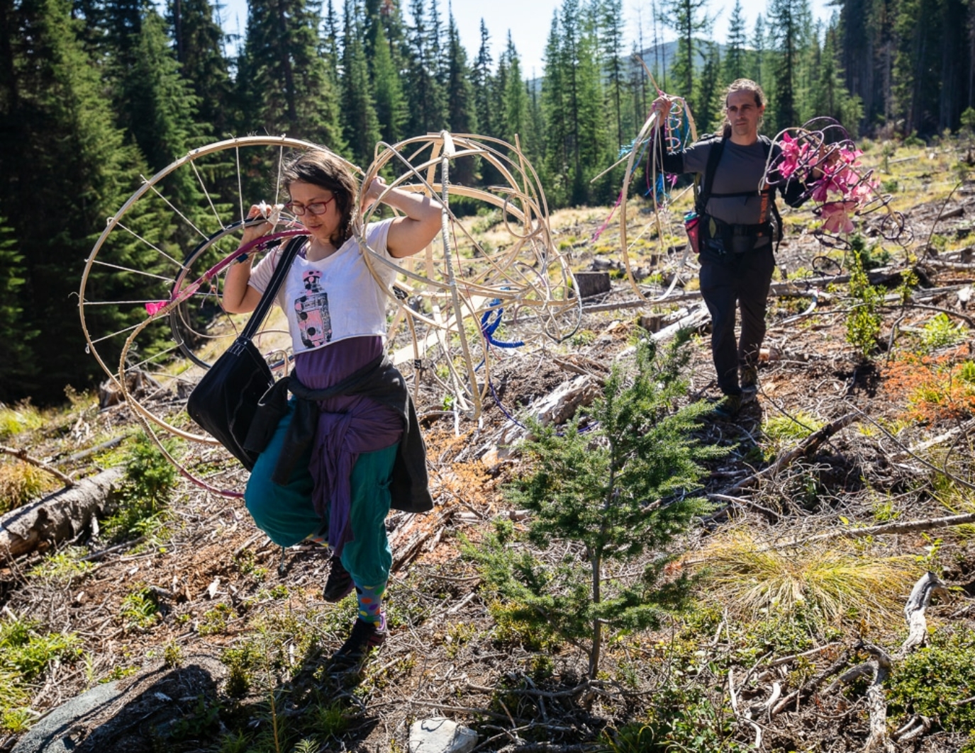 The artist and her partner walk through cut forest with the materials for the puppet installation in their hands. Bamboo wheels and flowers and backpacks. Some of the materials are wood and others have pink and purple colors, which are handmade silk flowers. The forest here is cut down, but, in the background there are green trees and blue sky and mountains.