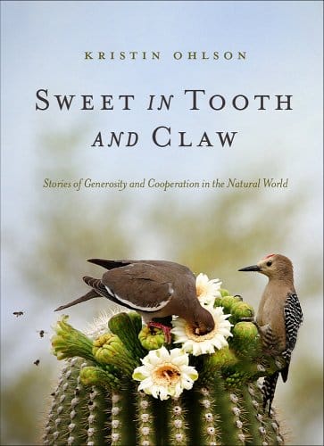 The cover for "Sweet in Tooth and Claw". It shows two birds sitting on a cactus and drinking from its blooms. 