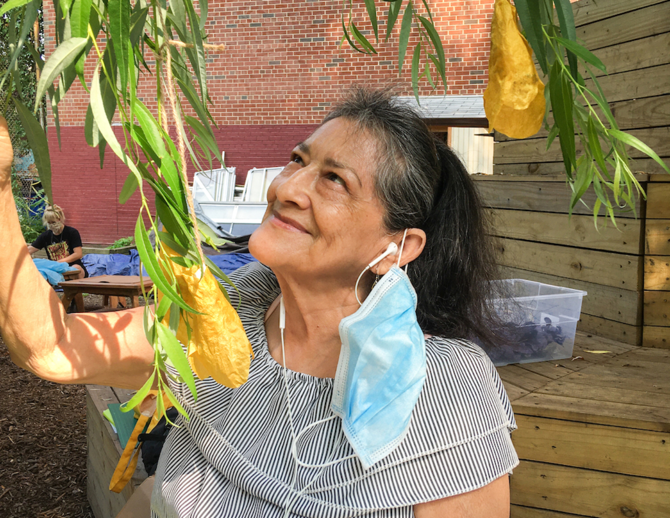 A volunteer looks up at the finished yellow flowers that are hung in the trees to dry, with a smile on her face. She has headphone in her ears and a mask hanging from her left ear. Some gray hair, and shirt striped in black and white. She appears content. This is the NYC event.