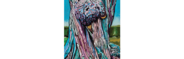 A colorful illustration of a tree burl, with swirls of pink and blue.