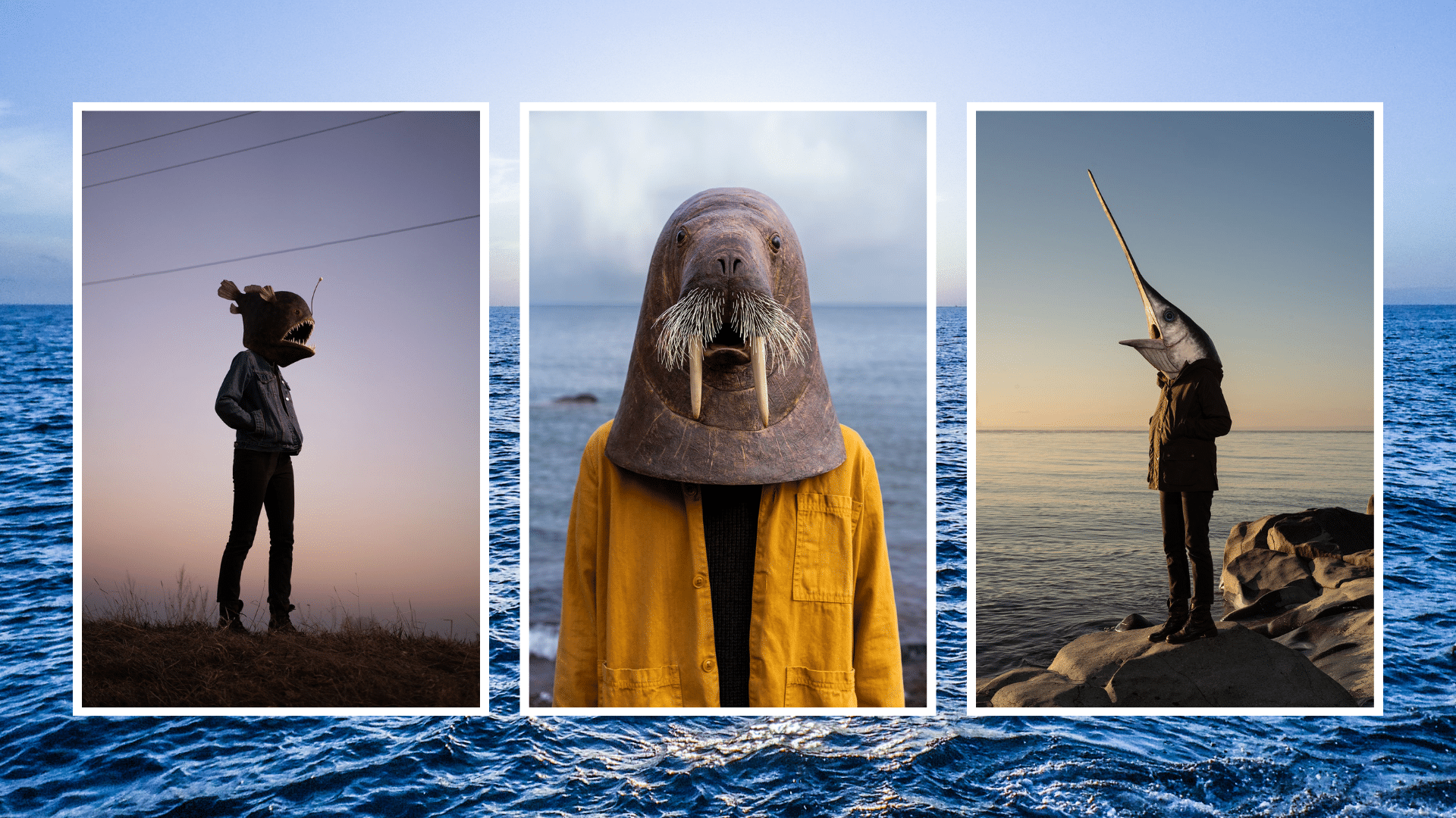 A collection of three images from the story over an image of an ocean