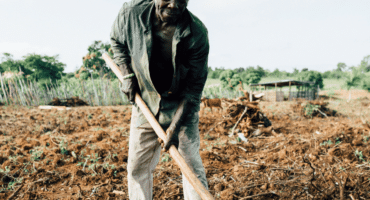 A photo of a Black man working in a field. He is bent over holding a pickaxe and looking at the camera. the ground his is standing on is churned. The sky is blue behind him.